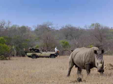Kruger Family Safari